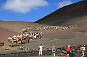Kanary_2010 053